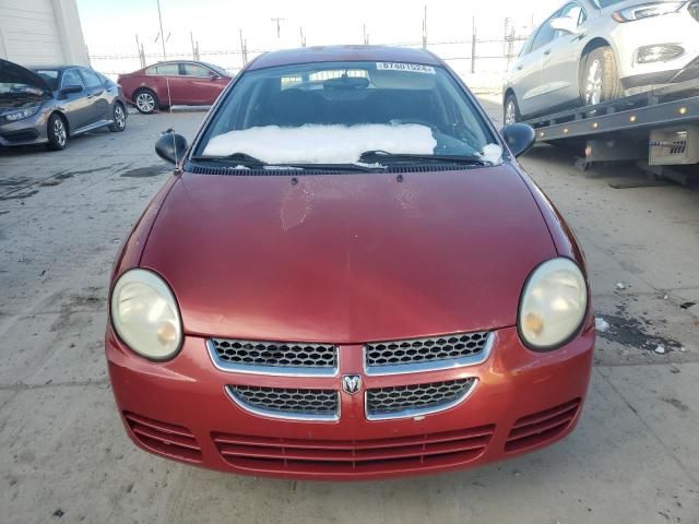 2005 Dodge Neon SXT