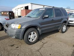 Salvage cars for sale at New Britain, CT auction: 2004 Ford Escape XLT