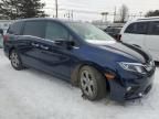 2019 Honda Odyssey EXL