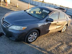 2011 Toyota Camry Base en venta en Antelope, CA