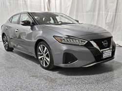 Salvage cars for sale from Copart Elgin, IL: 2023 Nissan Maxima SV