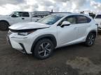 2020 Lexus NX 300H