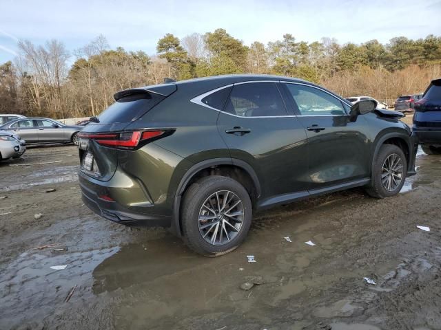 2025 Lexus NX 350H Base