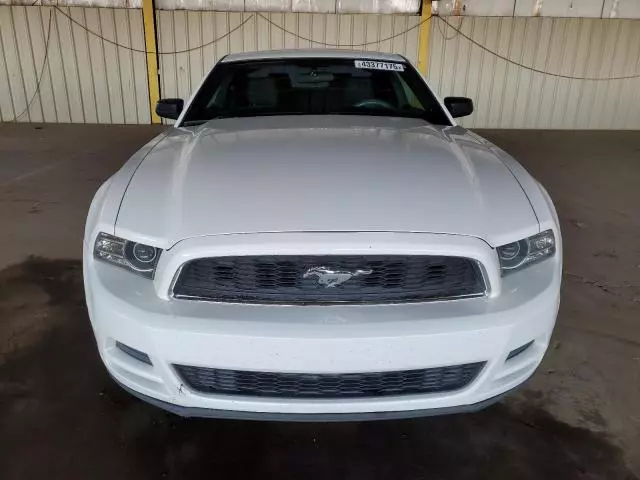 2013 Ford Mustang