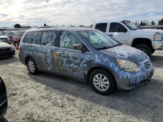 2010 Honda Odyssey EXL