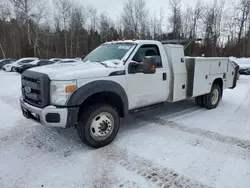 Salvage trucks for sale at Cookstown, ON auction: 2015 Ford F550 Super Duty