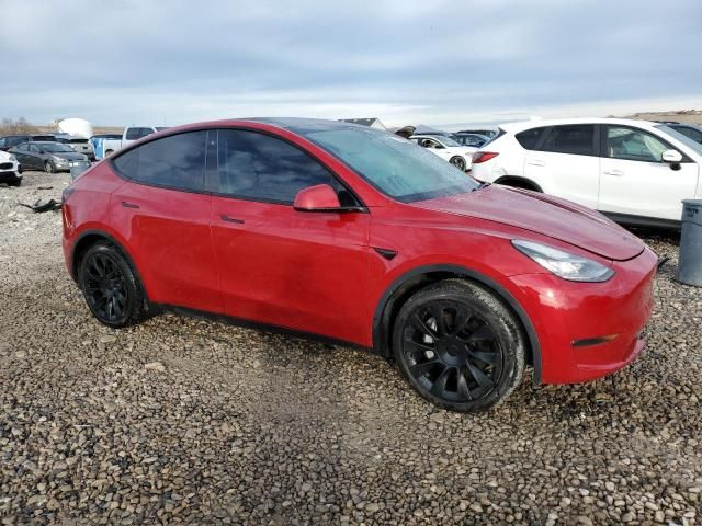 2020 Tesla Model Y