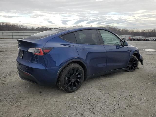 2020 Tesla Model Y