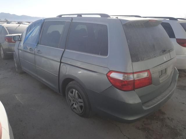 2005 Honda Odyssey EX