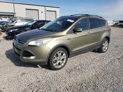 2013 Ford Escape SEL en venta en Earlington, KY