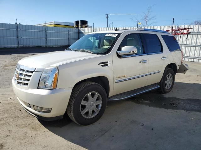 2007 Cadillac Escalade Luxury