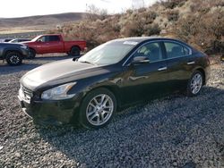 Salvage cars for sale at Reno, NV auction: 2009 Nissan Maxima S