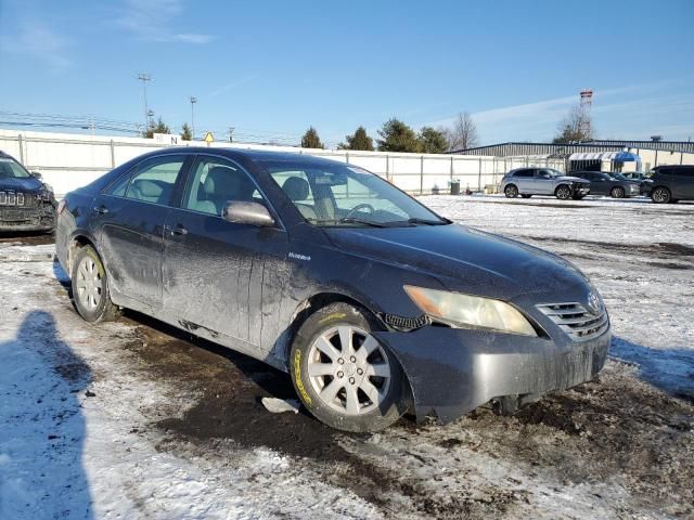 2009 Toyota Camry Hybrid