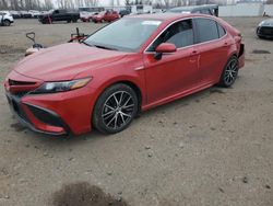 Salvage cars for sale at Portland, OR auction: 2021 Toyota Camry SE