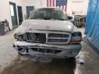 2001 Dodge Dakota