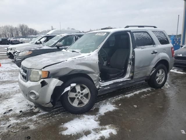 2010 Ford Escape XLT