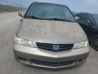 2003 Honda Odyssey EXL