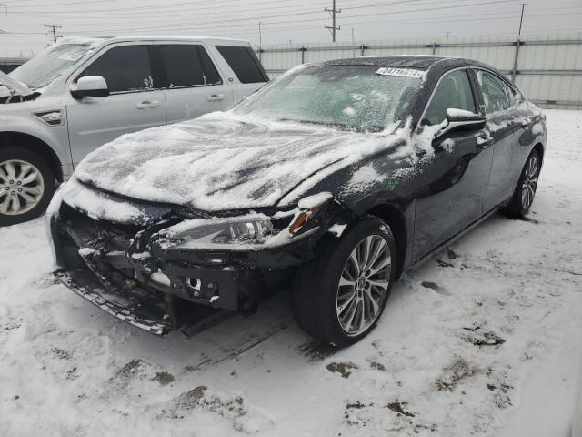 2019 Lexus ES 350