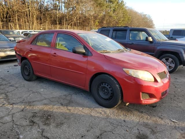 2010 Toyota Corolla Base