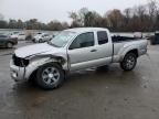 2005 Toyota Tacoma Prerunner Access Cab