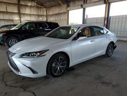 Lexus salvage cars for sale: 2025 Lexus ES 300H Base