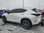 2024 Lexus NX 250 Base