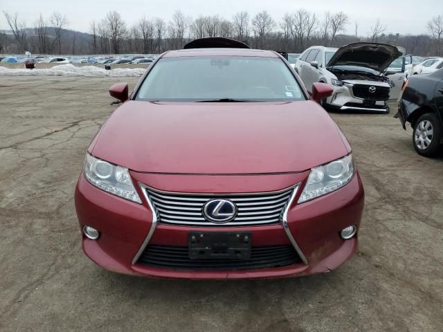 2013 Lexus ES 300H