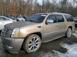 Cadillac Vehiculos salvage en venta: 2007 Cadillac Escalade ESV