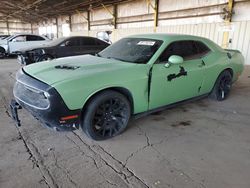 Salvage cars for sale at Phoenix, AZ auction: 2018 Dodge Challenger SXT