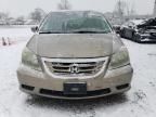 2008 Honda Odyssey EXL