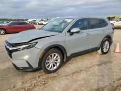 Honda salvage cars for sale: 2024 Honda CR-V EXL