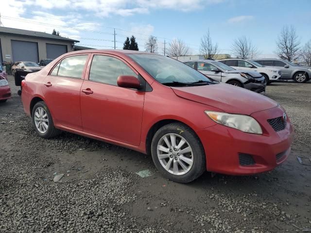 2009 Toyota Corolla Base