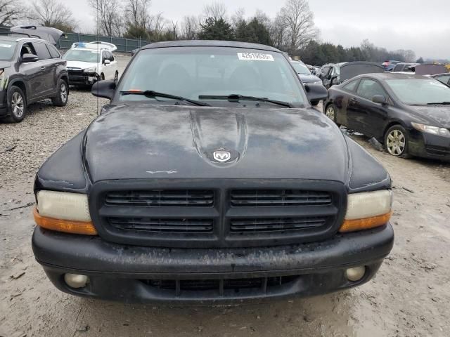 1999 Dodge Dakota