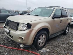 Salvage cars for sale at Hueytown, AL auction: 2010 Ford Escape XLT