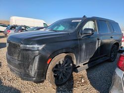 Salvage cars for sale at Magna, UT auction: 2023 Cadillac Escalade Sport Platinum