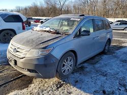 Salvage cars for sale at Ellwood City, PA auction: 2011 Honda Odyssey EXL