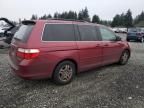 2005 Honda Odyssey EXL