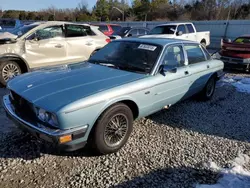 Salvage cars for sale at Memphis, TN auction: 1989 Jaguar Vandenplas