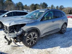 Salvage cars for sale at Mendon, MA auction: 2022 Ford Escape SE