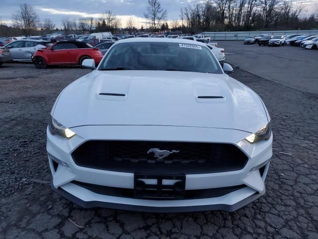 2019 Ford Mustang