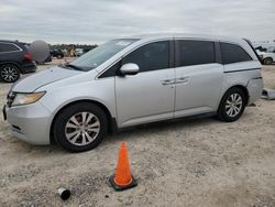 Salvage cars for sale at Houston, TX auction: 2015 Honda Odyssey EXL