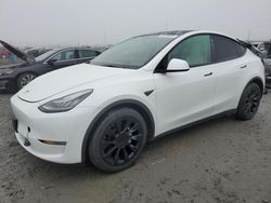 Salvage cars for sale at Eugene, OR auction: 2021 Tesla Model Y