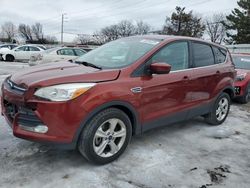 Vehiculos salvage en venta de Copart Moraine, OH: 2014 Ford Escape SE