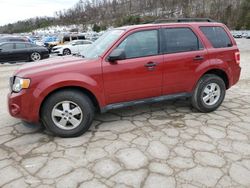 Salvage cars for sale at Hurricane, WV auction: 2011 Ford Escape XLT