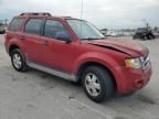 2010 Ford Escape XLS