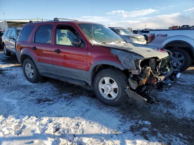 2001 Ford Escape XLT