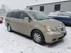 2008 Honda Odyssey EXL