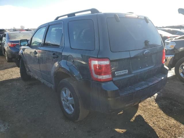 2008 Ford Escape XLT