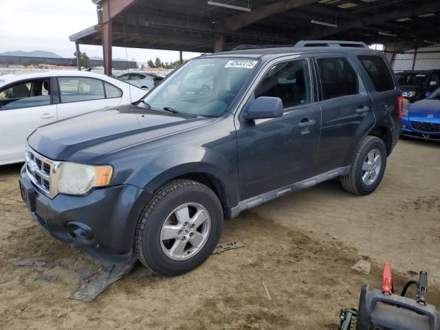 2009 Ford Escape XLT