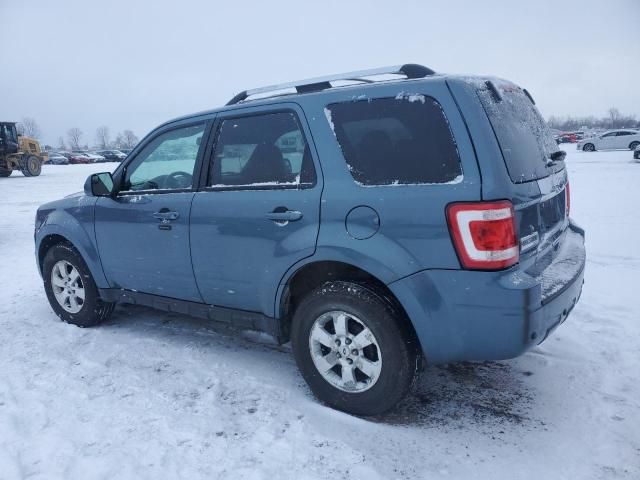 2011 Ford Escape Limited